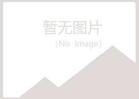 眉山夏槐咨询有限公司